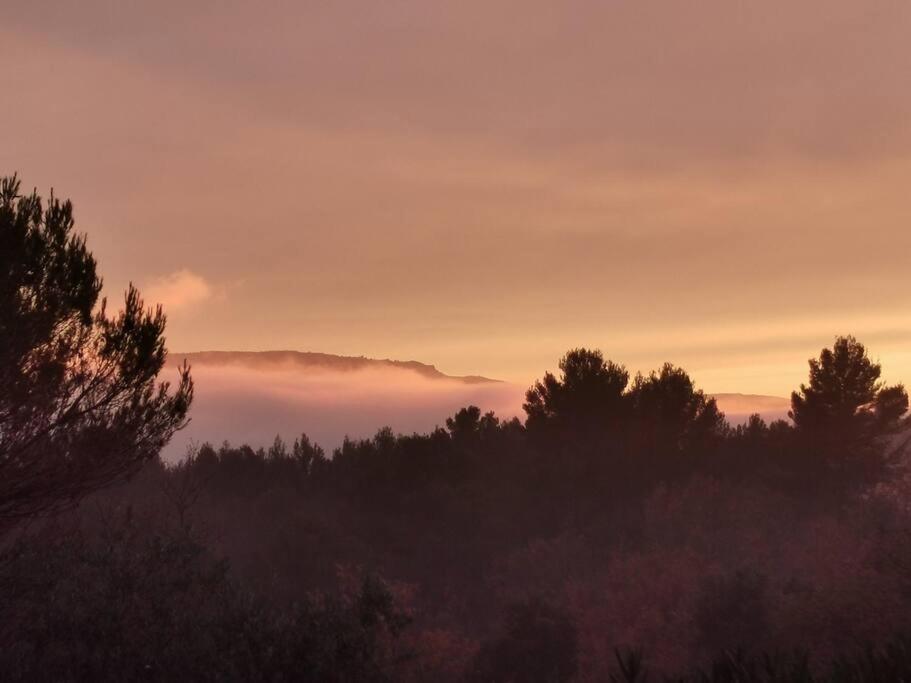 Entre Ventoux Et Luberon, Appartement Dans Maison. Malemort-du-Comtat Esterno foto