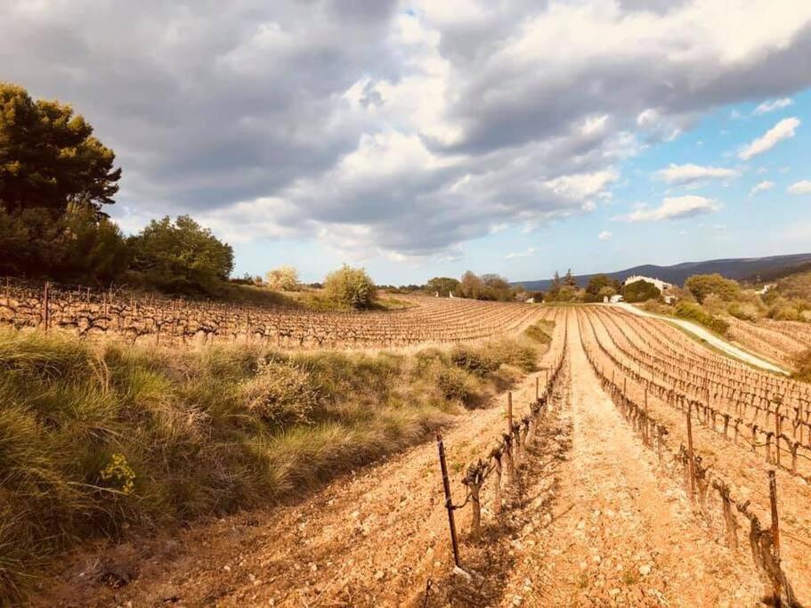 Entre Ventoux Et Luberon, Appartement Dans Maison. Malemort-du-Comtat Esterno foto